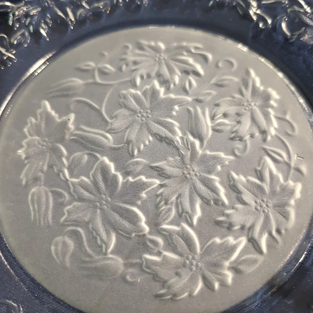 Princess House Poinsettia Frosted Center Clear Rim Glass Dinner Plates Set of 4